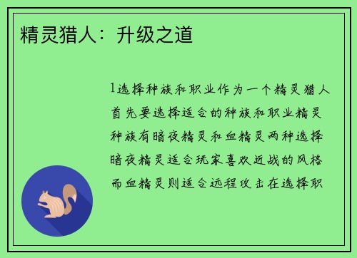 精灵猎人：升级之道