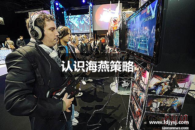 认识海燕策略